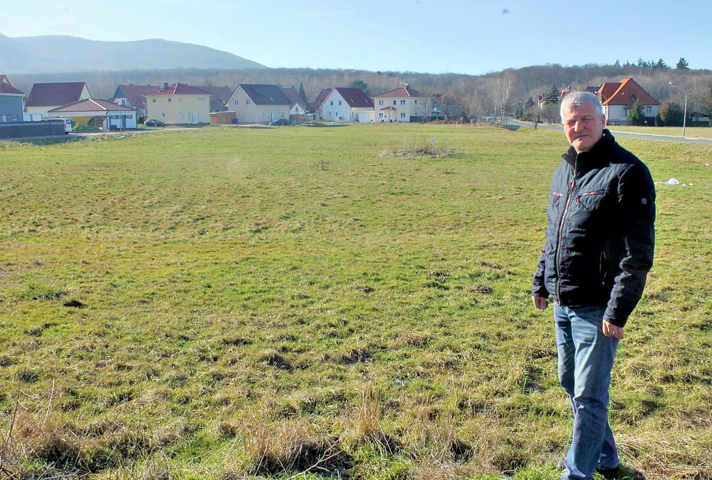 Noch ist es ein Stück grüne Wiese. Doch schon bald könnte diese Fläche hinter dem Stapelburger Mühlentor mit einer Seniorenwohnanlage bebaut werden, sagt Ortsbürgermeister Detlef Winterfeld.