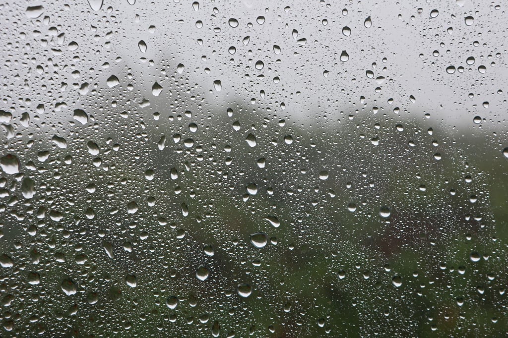 Regentropfen fallen auf eine Fensterscheibe im Brockengarten.