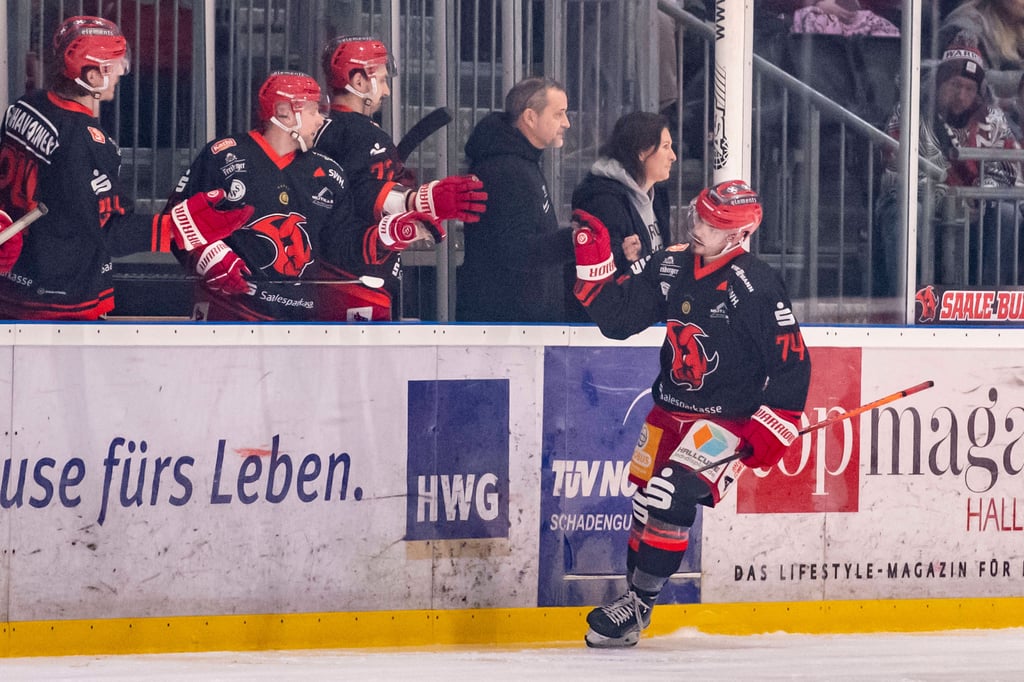 Der durch Verletzungen ausgedünnte Kader der Saale Bulls wird schon bald verstärkt werden.