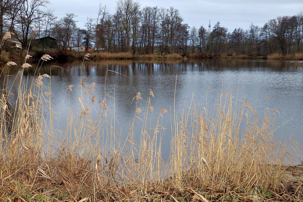 Auf Gladows Loch sind Boots- und Nachtangeln erlaubt. Im Sommer ist es ein beliebter Badeteich.