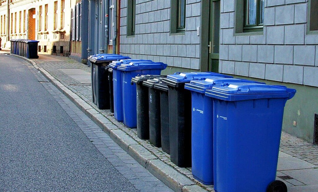 Für die Abfuhr des Hausmülls und des Altapiers in Halberstadt am Straßenrand bereitgestellte Tonnen.