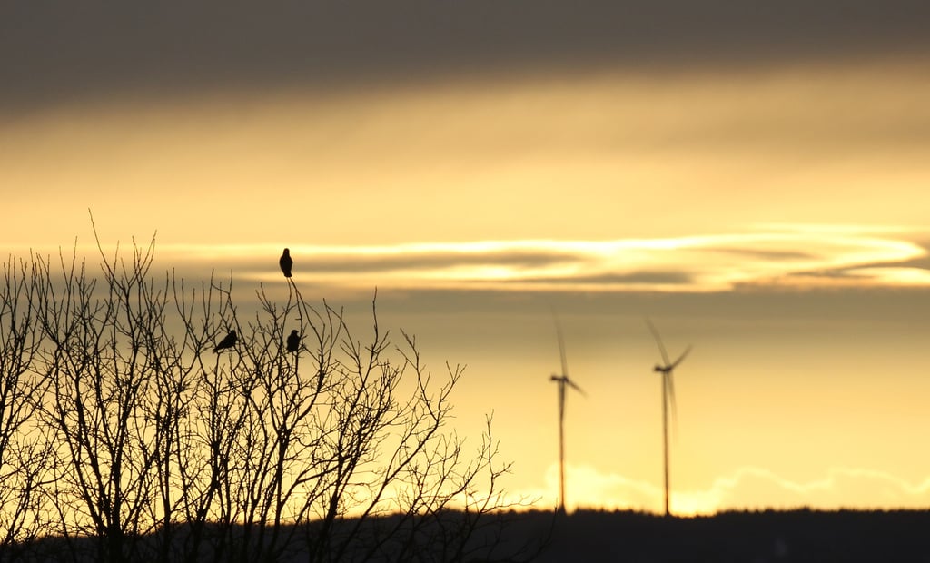 Symbolfoto - Bei dem geplanten Energiepark sollen auch Eisleben und Hettstedt mit ins Boot geholt werden.