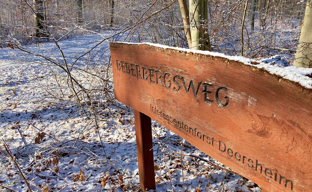 Fallstein Osterwiecker Waldbesitzer fühlen sich