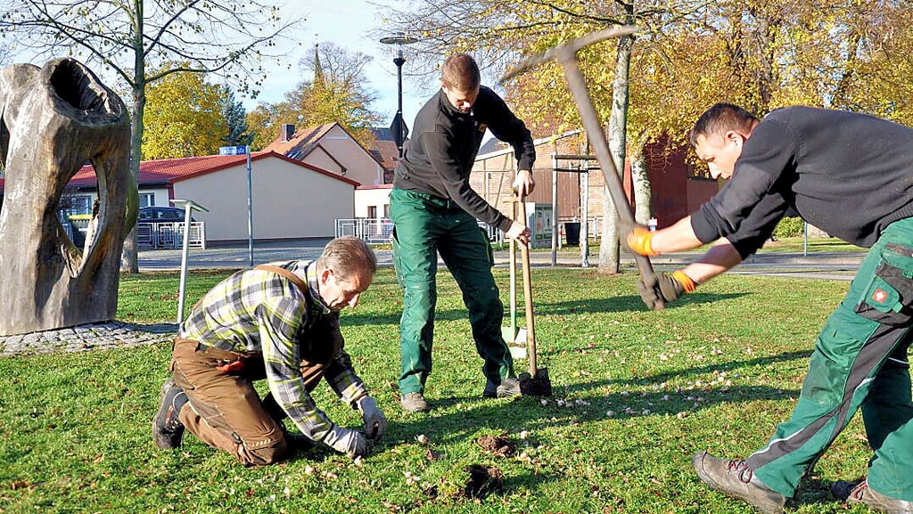 Für den grünen Bereich stehen der Einheitsgemeinde Osterburg im Jahr 2023 noch weniger Kräfte zur Verfügung als 2022. Das Foto zeigt Stadtmitarbeiter bei Anpflanzungen an der Lindensporthalle.