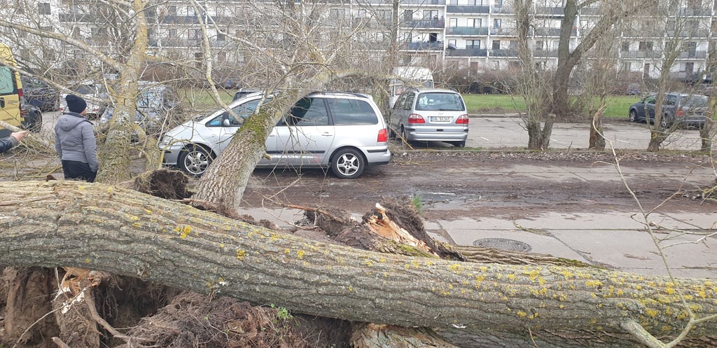 Die Feuerwehr war in der Lucas-Cranach-Straße in Stendal im Einsatz.