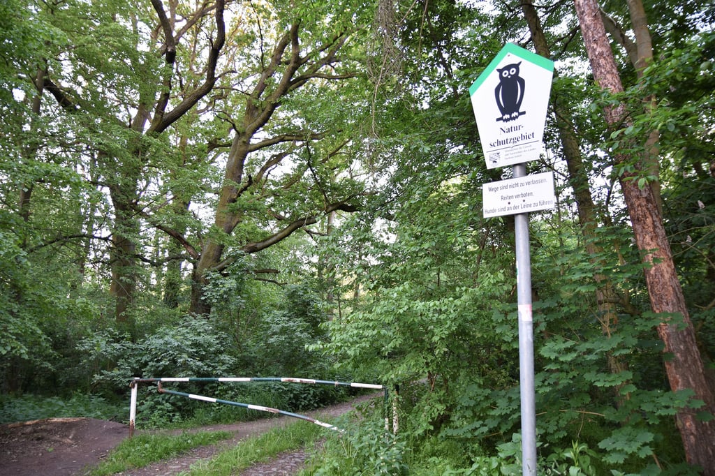 Die Wegeverbindung durch das Naturschutzgebiet Kreuzhorst verbindet die Ortsteile Pechau und Randau-Calenberge. 