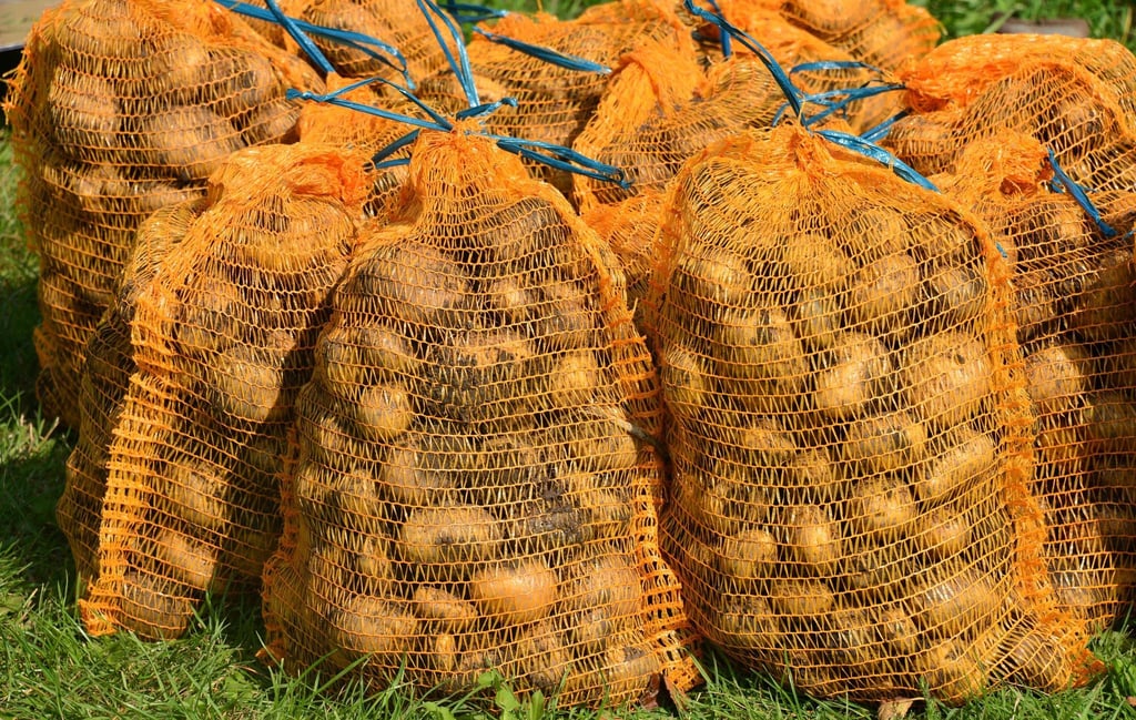 Kartoffeln dürfen seit Jahresbeginn nicht mehr mit dem Keimhemmungsmittel Imazalil behandelt werden. Daher fehlt künftig auch der Zusatz „nach der Ernte behandelt“. Andere Mittel, wie Grüne-Minze-Öl, sind allerdings weiter erlaubt.