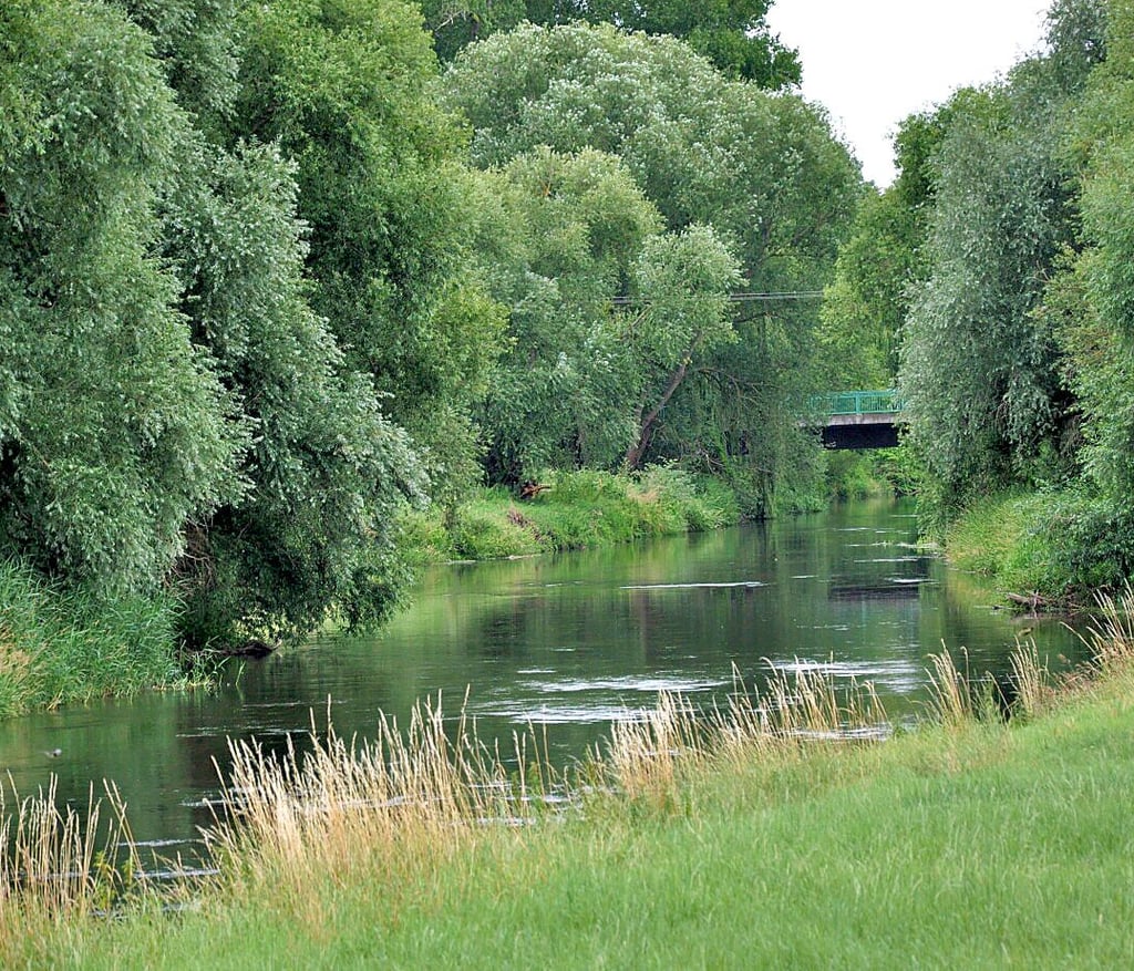 Die pralle und hier noch intakte Natur der Bode-Auenlandschaft bei Athensleben wissen nicht nur die Ortsansässigen zu schätzen. 2023 sollen sich Radwanderer zudem auf die Sanierung des Boderadwegs zwischen Rothenförde und Staßfurt freuen können.