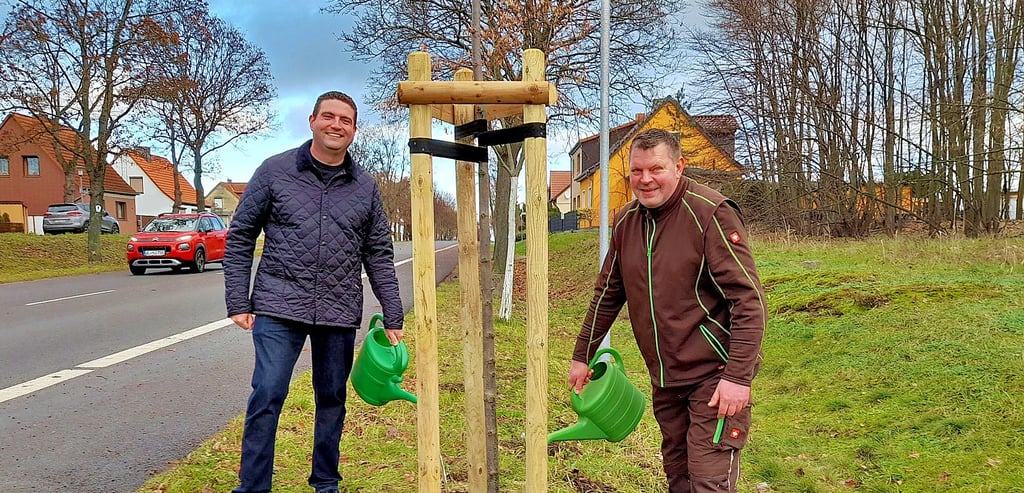 Denny Hitzeroth und Marko Simon gießen die von der SPD spendierten Linden an.