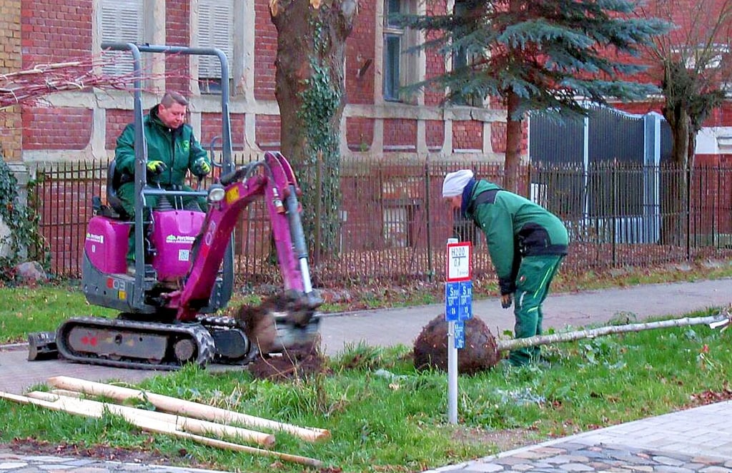 Links liegt schon das Material für den Dreibock, das die Linde in den ersten Jahren stabilisieren soll. Gerade wird die Pflanzgrube in der Vehlitzer Thälmannstraße ausgehoben.