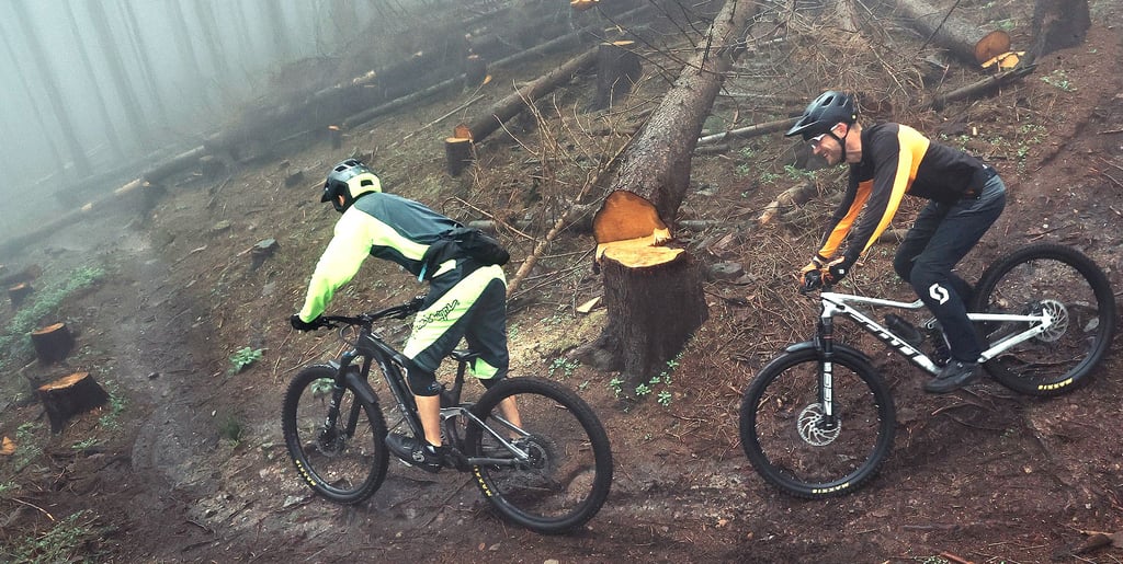 Die Strecke durchs Wassertal ist einer von bislang drei Tracks des 2022 offiziell eröffneten Trailparks Harz. Das neue Angebot lockt zunehmend Mountainbike-Touristen nach Ilsenburg, Drübeck und Darlingerode.