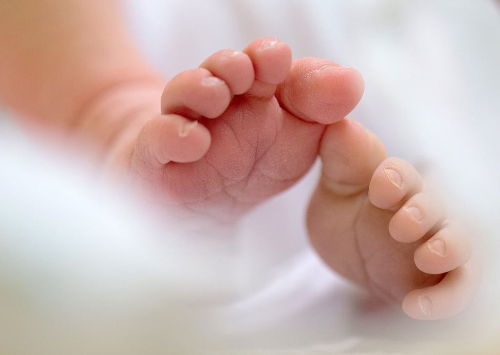 Wie viele Babys wurden geboren? Die Statistiker wissen es.