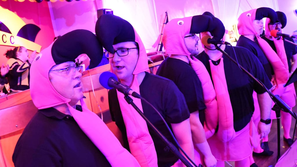 Auch die Flamingos aus Hoym haben ihre Auftritte in dieser Session in Nachterstedter Dorfgemeinschaftshaus.