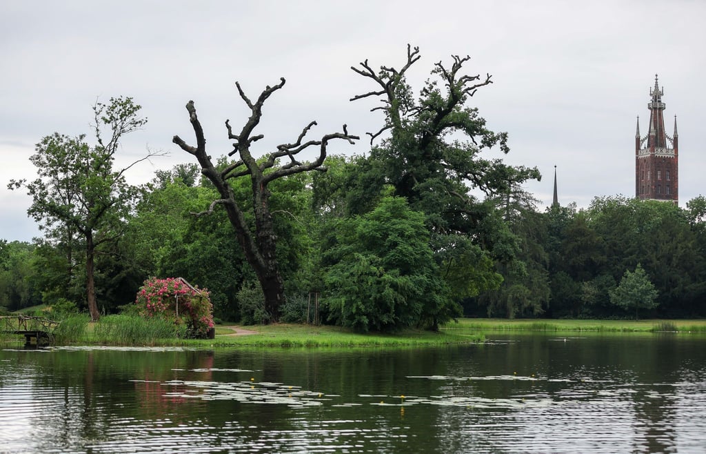 Blick ins Gartenreich Dessau-Wörlitz.