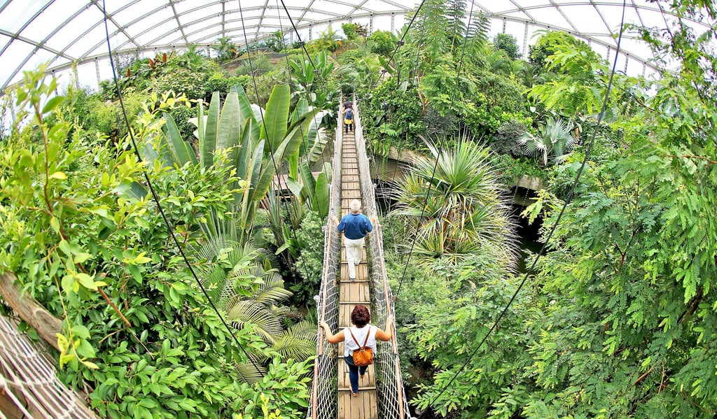 Der tropische Regenwald im Gondwanaland vom Zoo Leipzig kann per Baumwipfelpfad erforscht und entdeckt werden.