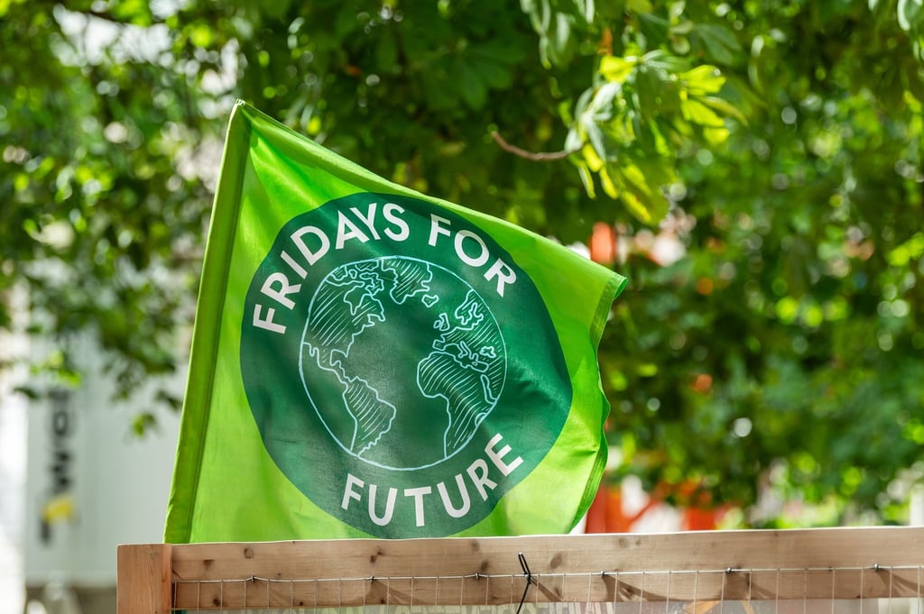 Eine Flagge mit der Aufschrift „Fridays for Future“.