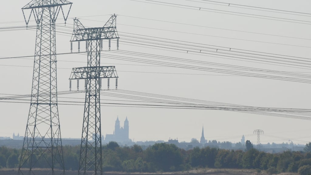 Stromleitungen einer Hochspannungstrasse mit dem Magdeburger Dom im Hintergrund.