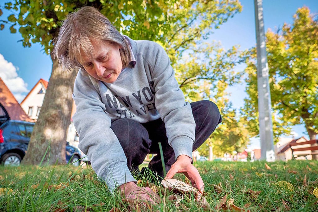 Nicht nur im Wald, auch auf Wiesen gedeihen Pilze – wie dieser Anis-Champignon, den Silke Fuchs gerade begutachtet.