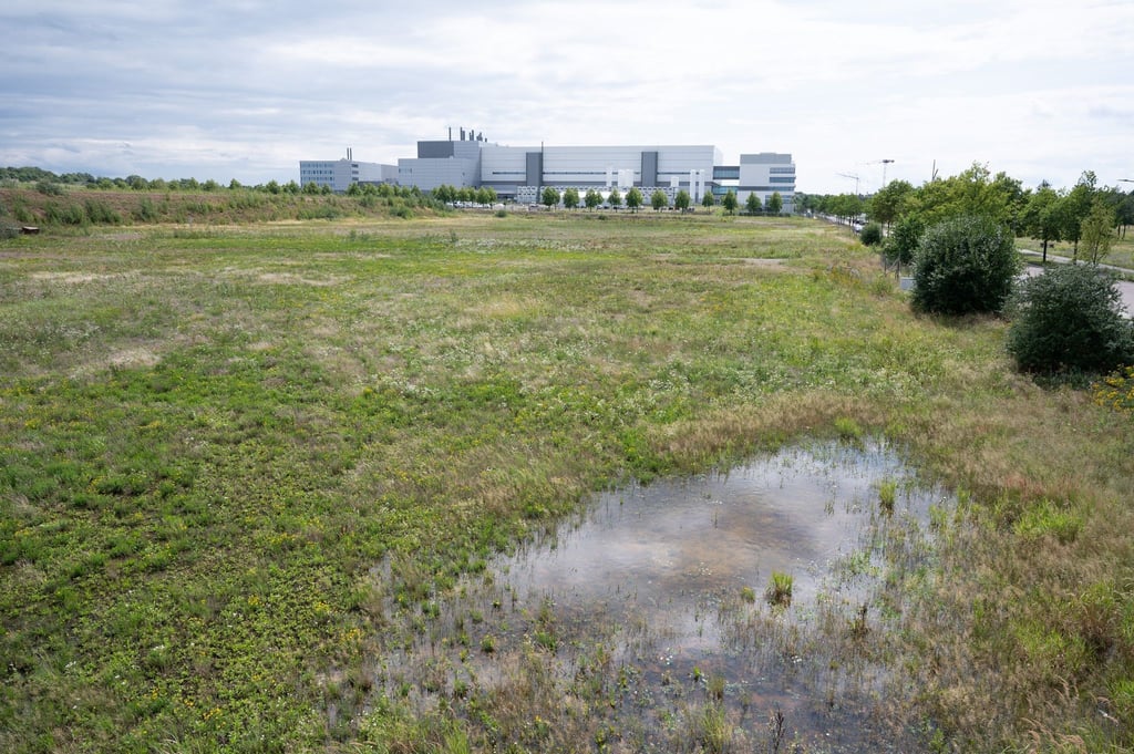 Geplanter Standort im Dresdner Norden, im Hintergrund ist die Halbleiterfabrik von Bosch zu sehen.