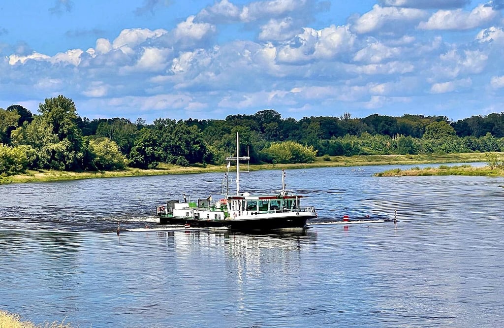 Das Schiff "Domfelsen".