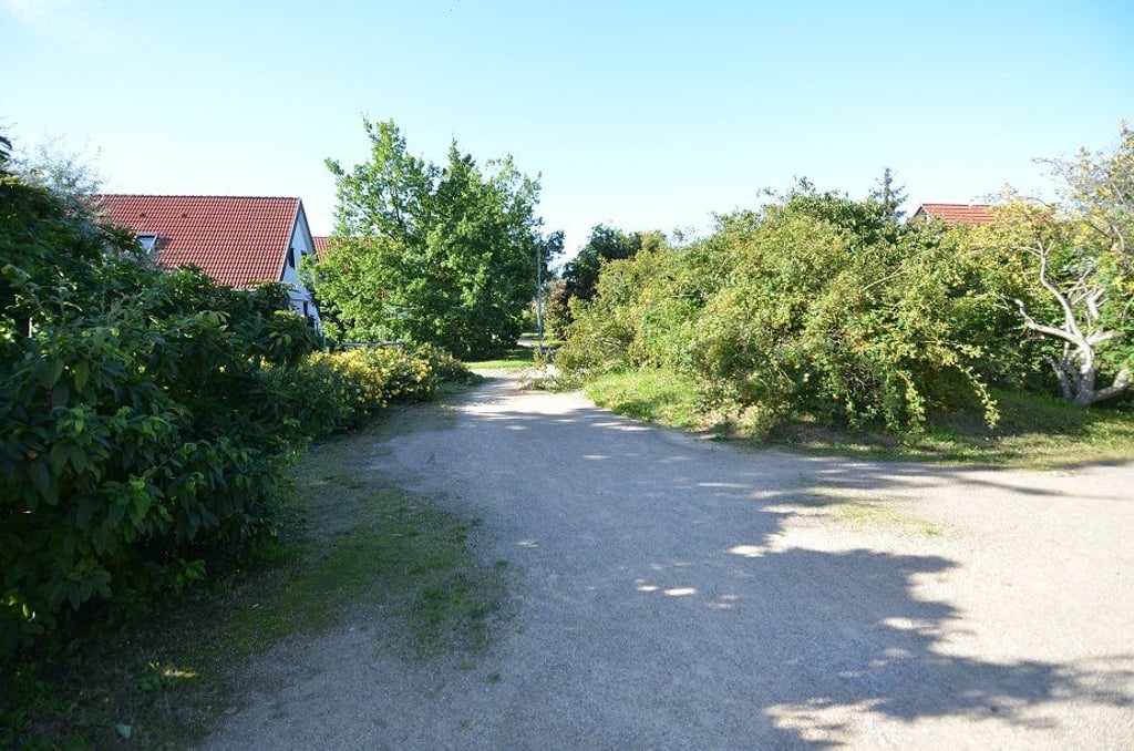 In Wernigerode im Harz ist eine 30-Jährige beim Gassigehen mit ihrem Hund nachts angegriffen worden. Die Polizei sucht nach Zeugen der Tat. Foto: