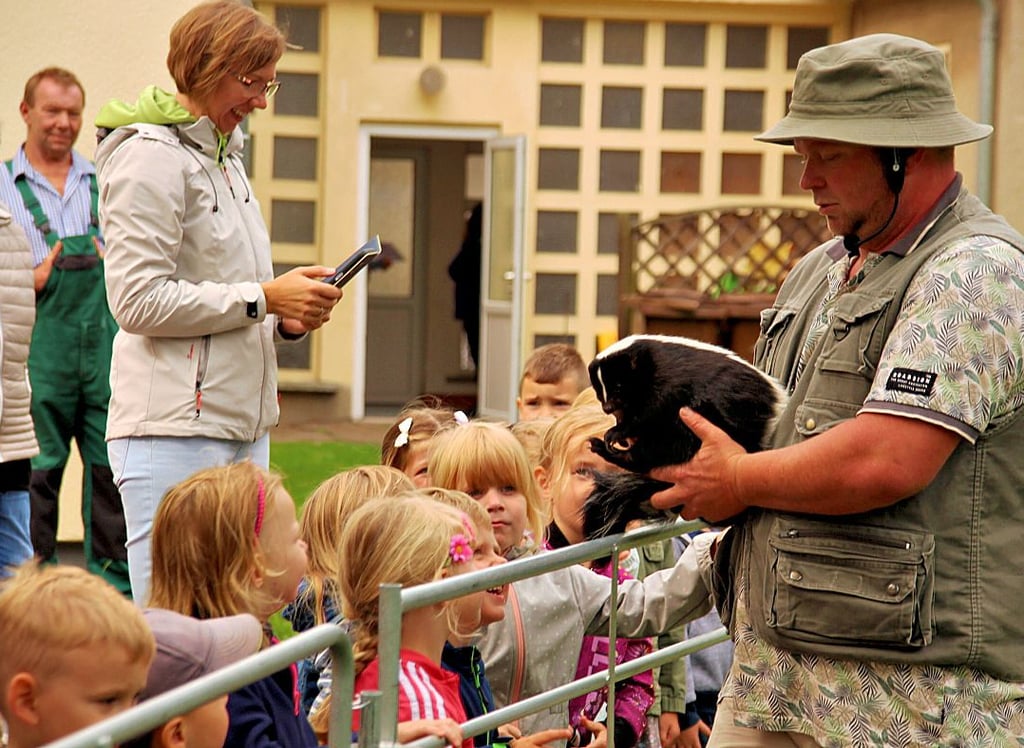 Martin Tränkler stellte beim Besuch im Osterburger Kindergarten „Jenny Marx“ auch ein Stinktier vor.
