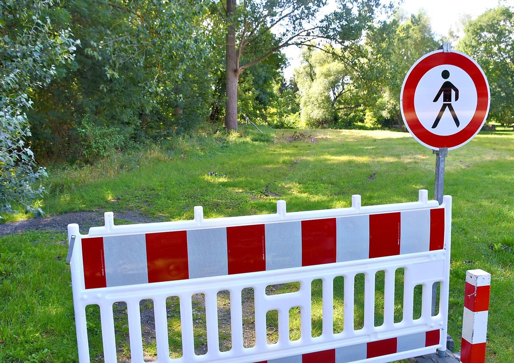 Der Bodewald in Wegeleben in Richtung Wehr und Überfall ist derzeit gesperrt. Es besteht die Gefahr, dass Bäume umstürzen können.