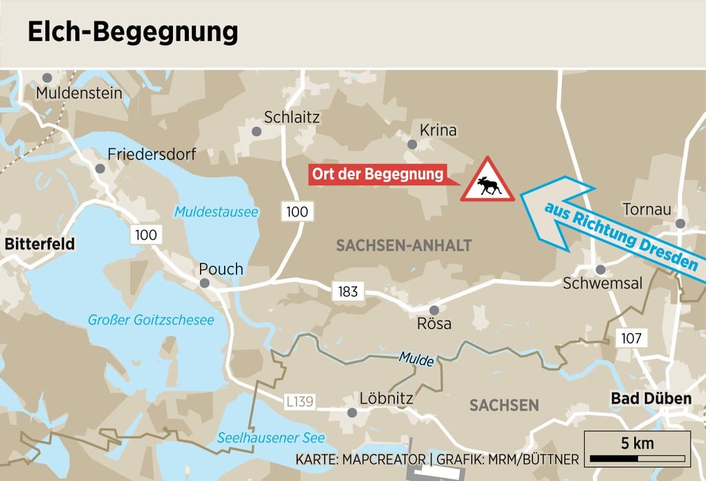 Hier wurde der Elch das erste Mal gesichtet.
