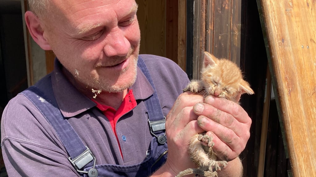 Feuerwehrmann Mike Reinhold aus Vitzenburg hält das gerettete Katzenbaby in den Händen.