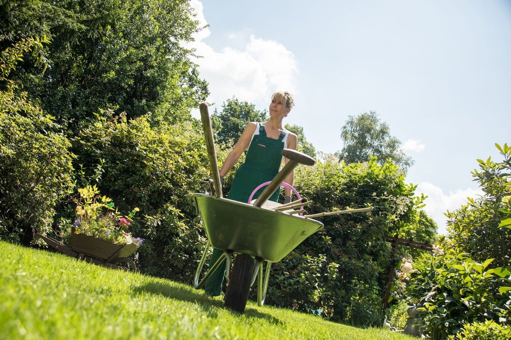 Ran an die neue Aussaat: Viele Sommerblumen des nächsten Jahres kommen noch in diesem Gartenjahr in den Boden.