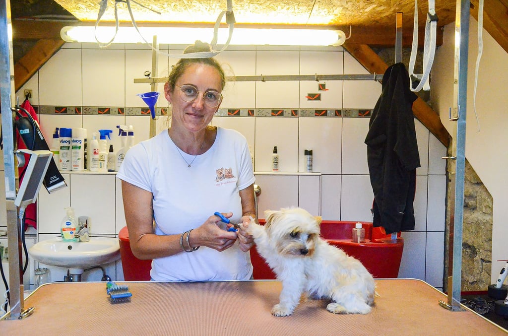 Claudia Graichen frisiert seit 2012 in Brumby kleine und große Hunde. Seit 2019 macht sie es hauptberuflich. Auch ihr eigener Yorkshire-Terrier Momo muss öfter zur Pflege.
