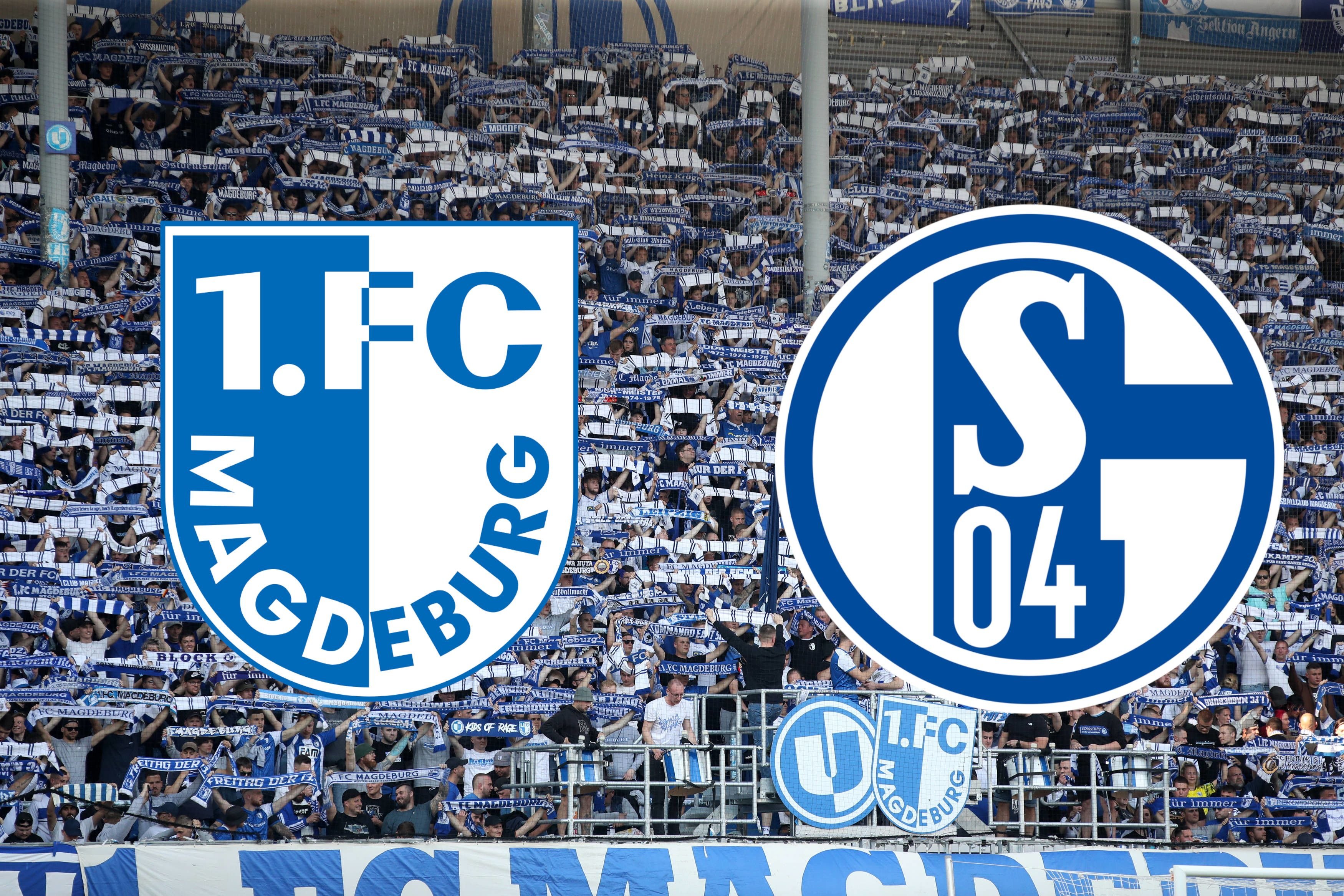 Ausverkauft! FCM-Gästetickets Für Zweitliga-Spiel Gegen Schalke 04