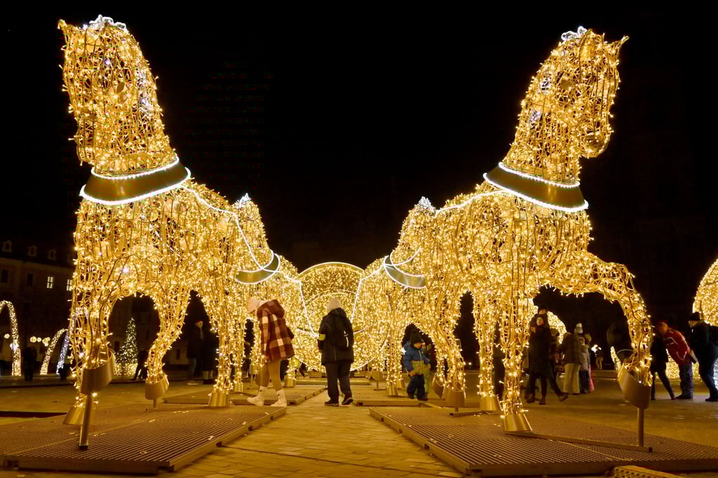 Zur Weihnachtszeit erstrahlt ganz Magdeburg durch die Figuren der Lichterwelt. Nun soll eine neue dazukommen.