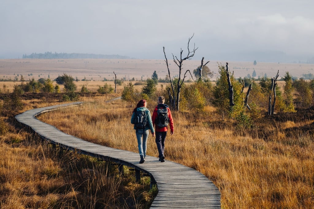 Der neue Fernwanderweg „Venntrilogie“ in Ostbelgien führt unter anderem durch die Hochmoorlandschaft des Hohen Venns.