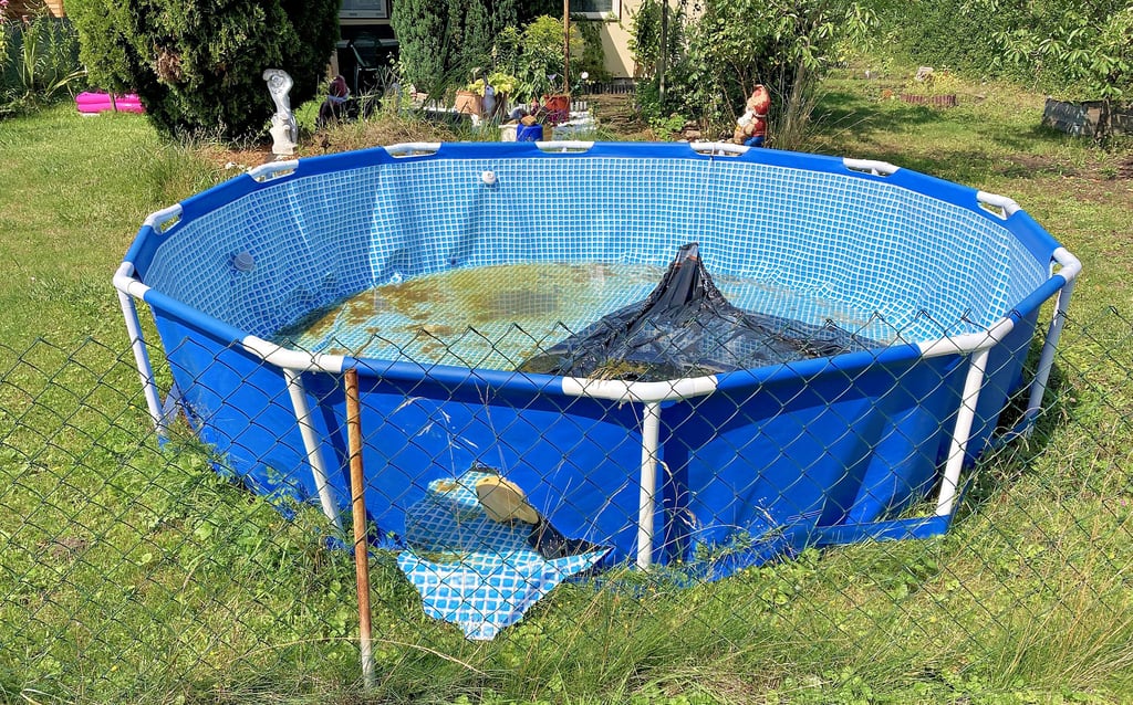 Auch Pools wurden Ziel sinnloser Zerstörung im Kleingartenverein „An der Kobra“ in Halle-Bruckdorf.