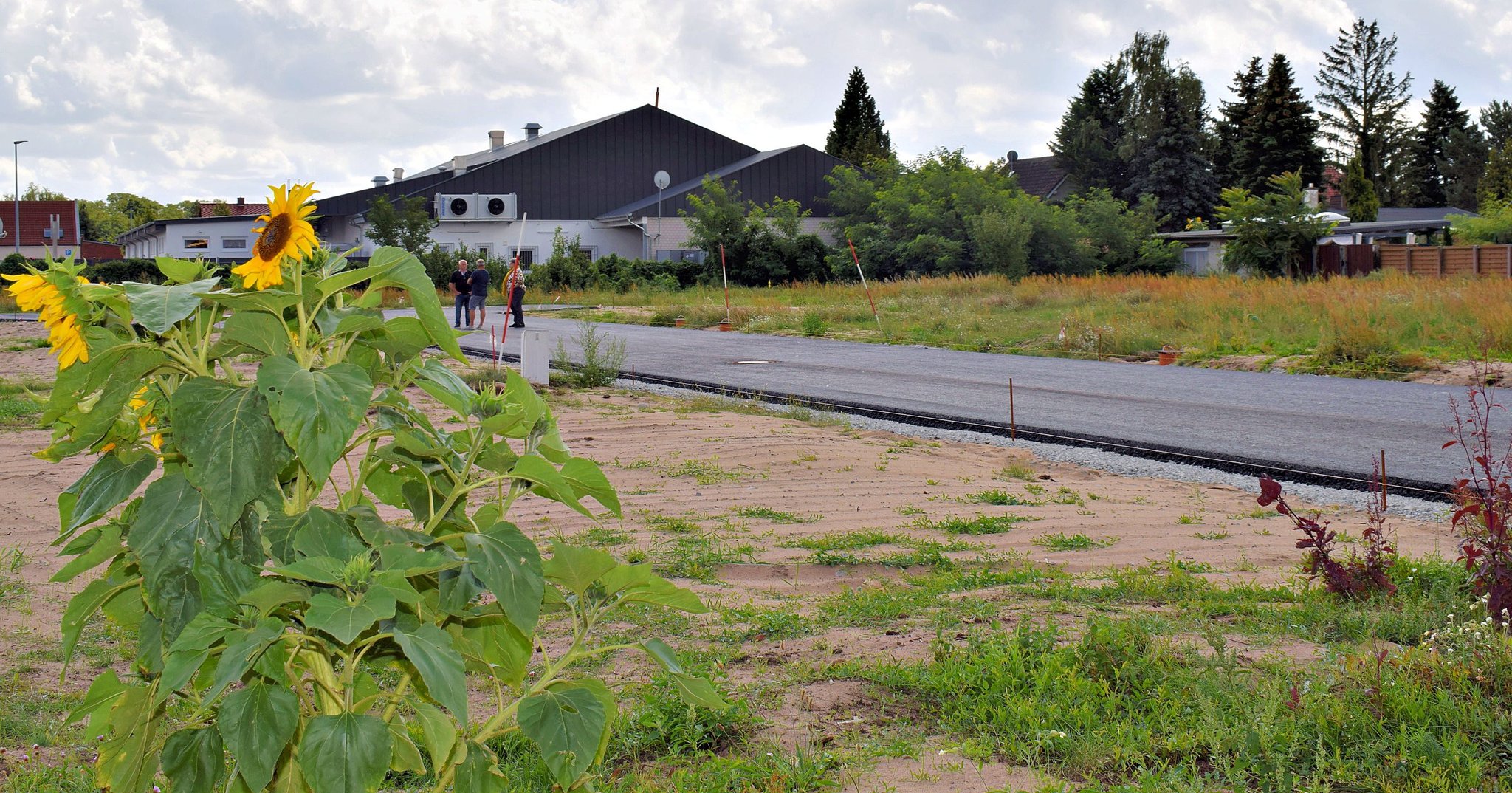 53+ Schröders Garten Tretboot, Schröders garten verfügt über eine