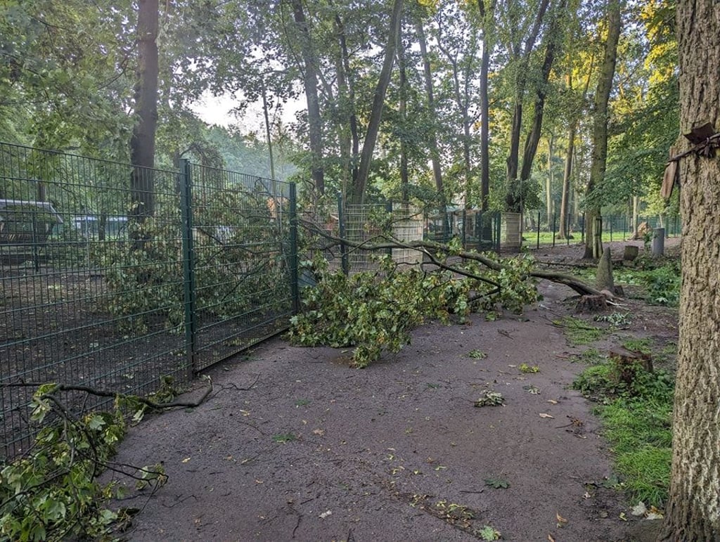 Durch den Sturm sind Äste abgebrochen und haben Gehege im Tierpark beschädigt.