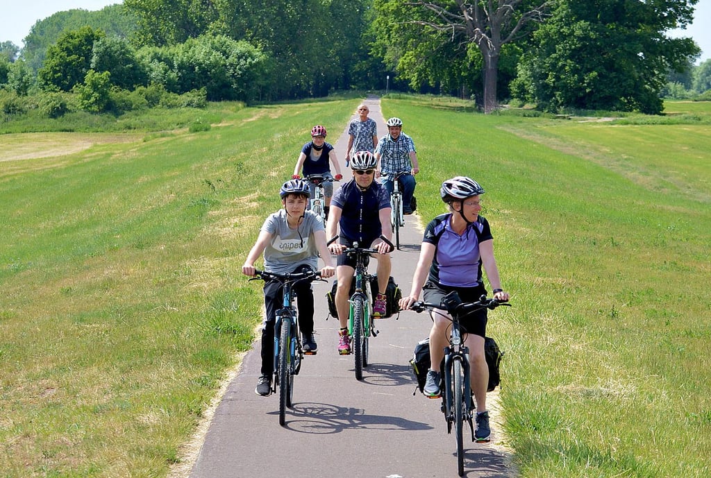 Radfahrer auf dem Elberadweg aus Richtung Buch sind hier kurz vor Tangermünde.