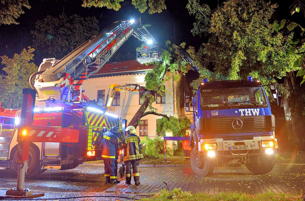 Feuerwehr und THW entfernen den Baum, der gegen ein Haus in der Weberstraße in Quedlinburg gefallen war.