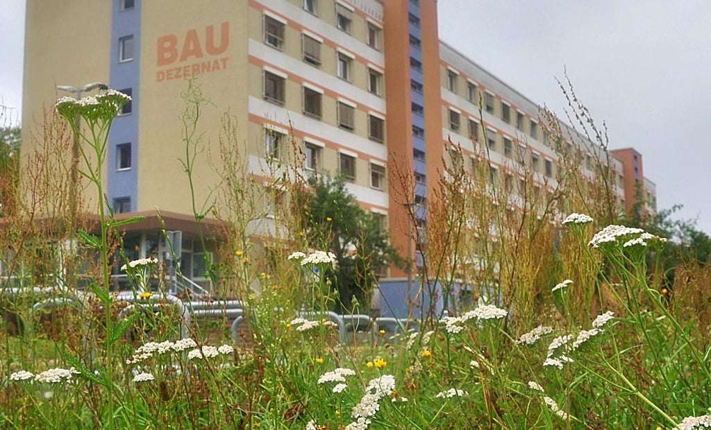 Wie viel Platz soll der Klimaschutz rund ums Dezernat für Umwelt und Stadtentwicklung haben?