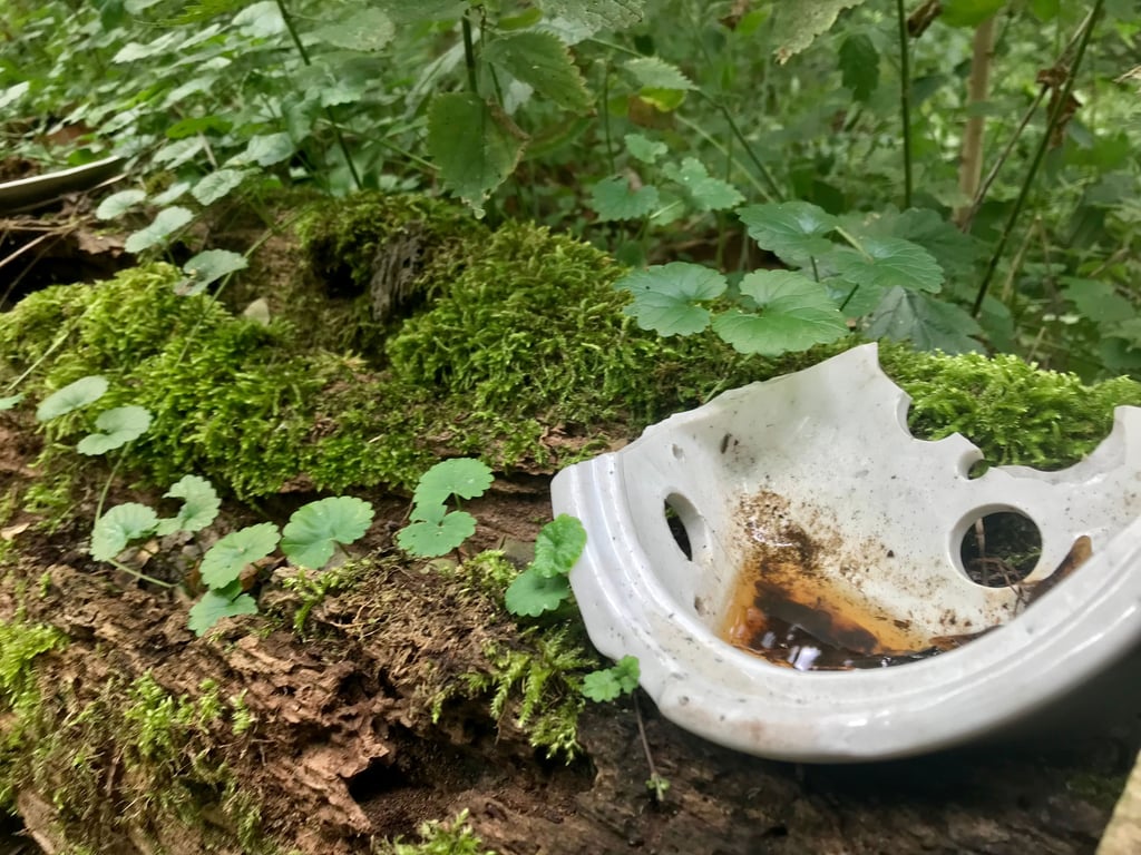Die Reste von Jahrsau hat die Natur zurückerobert. Es gibt aber noch einige Hinterlassenschaften der ehemaligen Bewohner.