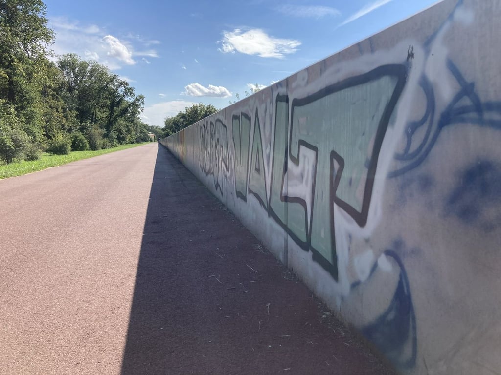 Magdeburgs Hochwasserschutzwand könnte bald mehr als nur ein Betonblock sein.