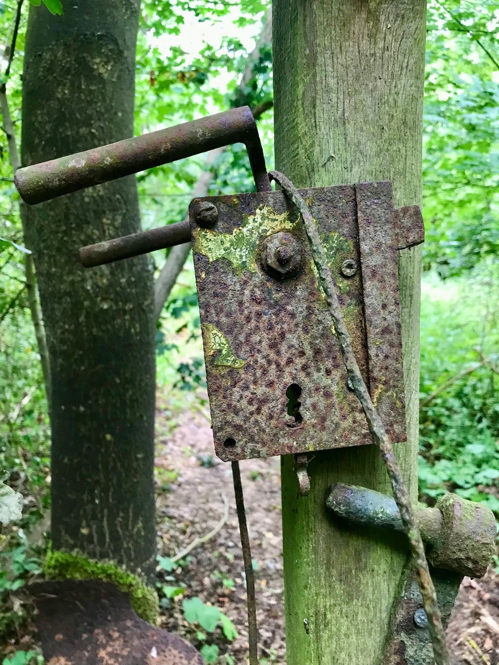 Eine Türklinke ins Nichts.