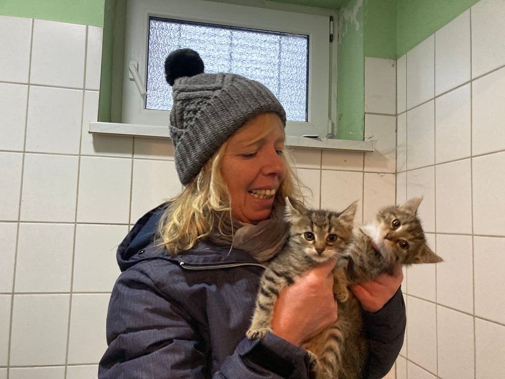 Astrid Finger und ihr Team betreuen im Tierheim Schartau bei Burg unter anderem über 70 Katzen.