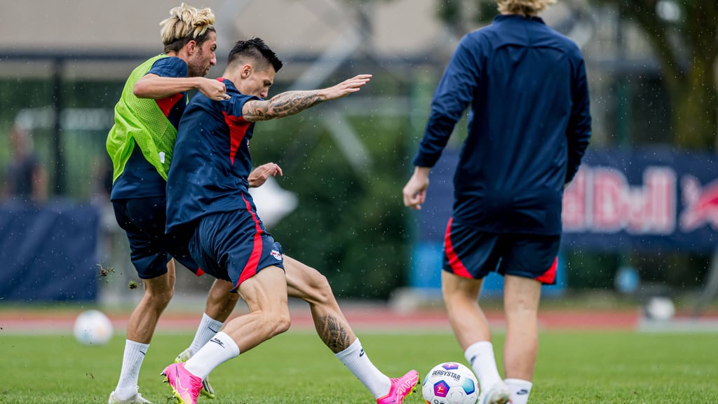 Kampl (links) und Baumgartner müssen nur noch das Abschlusstraining bestehen (Archivbild).
