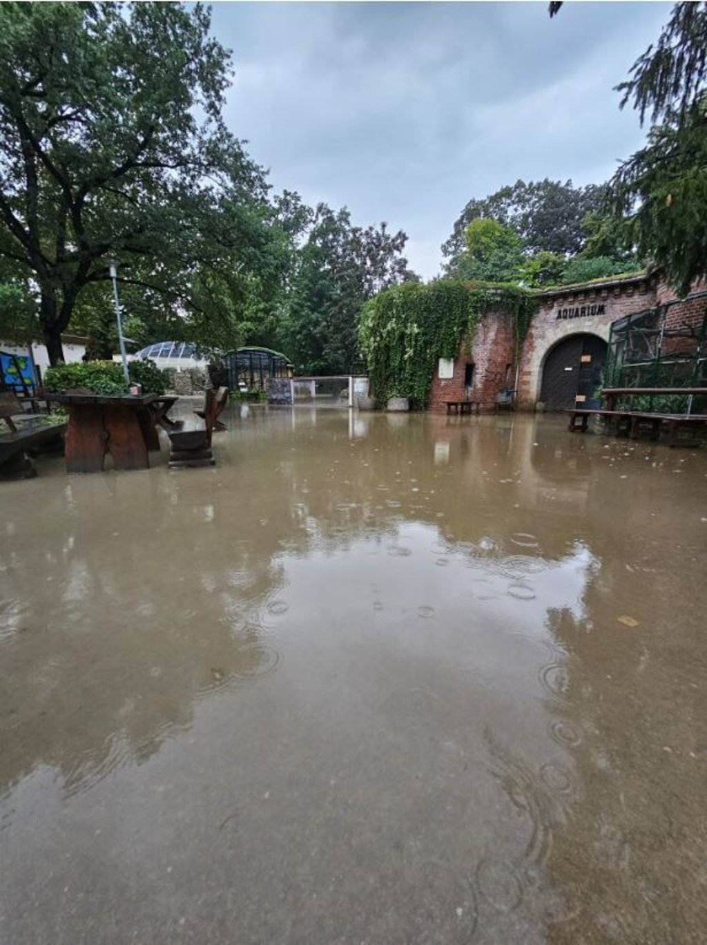 Der Wittenberger Tierpark wurde nach Unwetter und Starkregen geflutet.