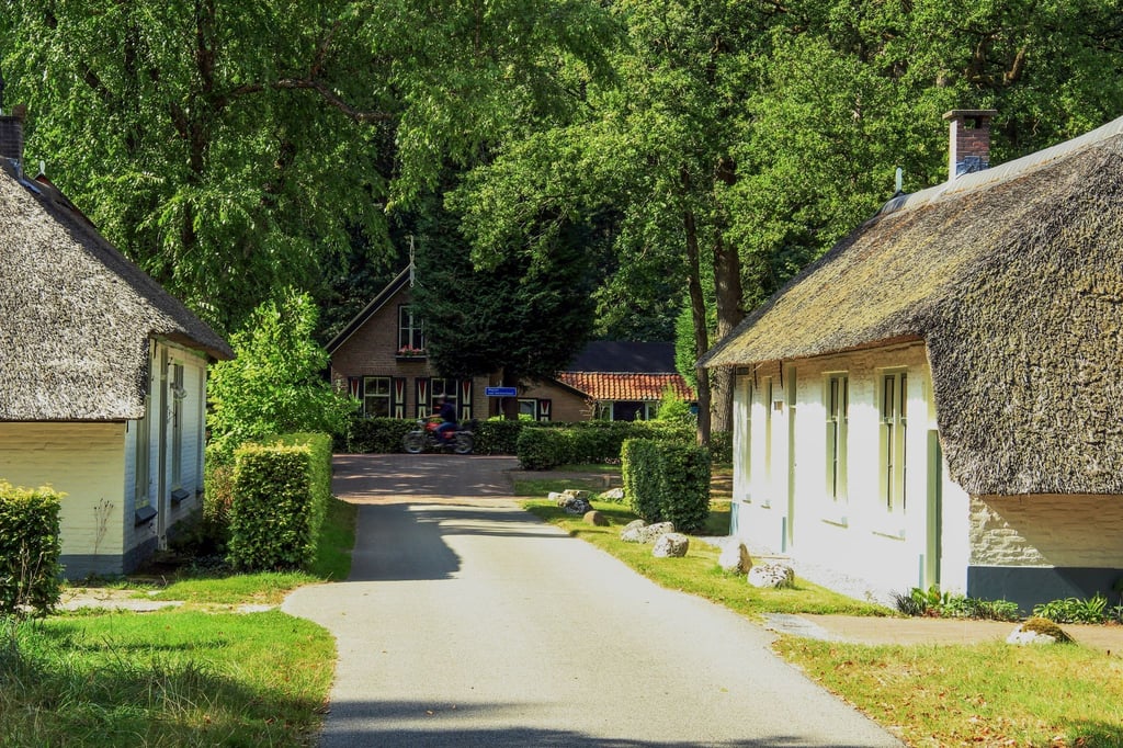 Reetdachhäuser in Frederiksoord: Hier wurde 1818 eine Kolonie für arme Familien gegründet.