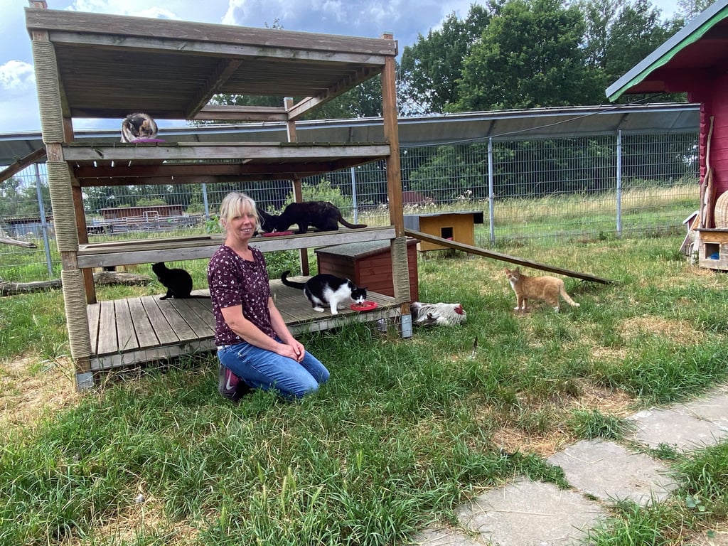 Astrid Finger, Vorsitzende des Tierschutzvereins Burg, mit einigen Katzen im großen Außengehege vom Tierheim in Schartau.