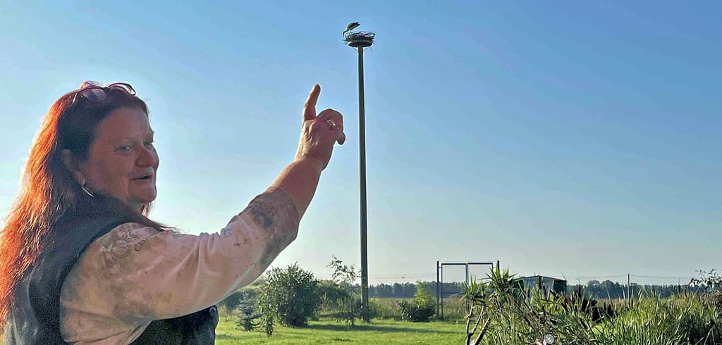 Edelgard Bernecker aus Bellingen ist glücklich über den ersten Untermieter im Storchenhorst. Für das kommende Jahr hofft sie, Storchenoma zu werden.