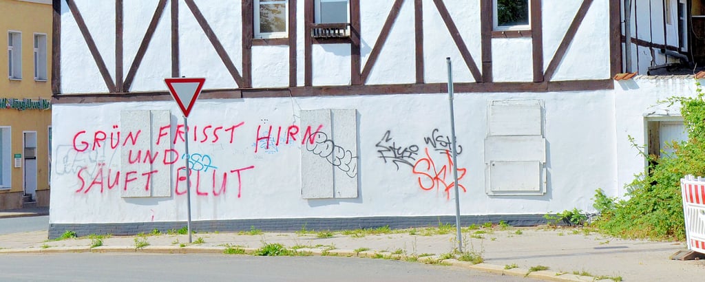 Sie sind in Oschersleben an vielen Stellen zu finden: illegal gesprühte Graffitis.